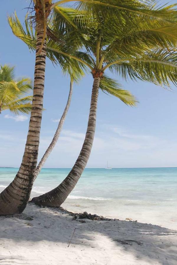 Herard share apartamento Punta Cana Exteriör bild